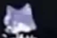 192x126