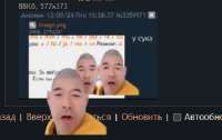 353x224
