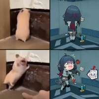 1080x1080
