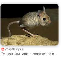 393x368