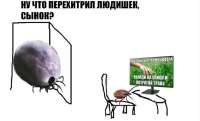 962x584