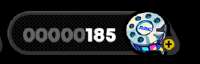 253x81