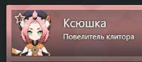 300x133
