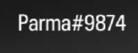 248x96