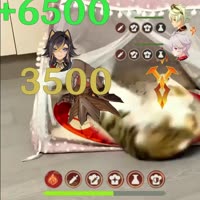 720x720