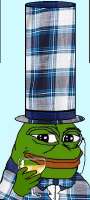 334x739