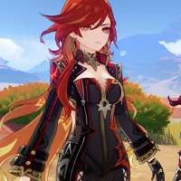 736x736