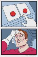 529x800