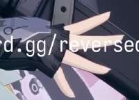 338x244