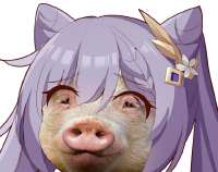 640x507