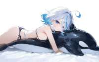 1187x742