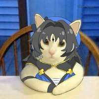 736x736
