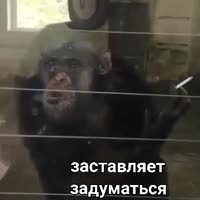 360x360