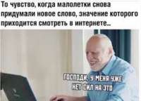 592x429