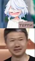 589x1017