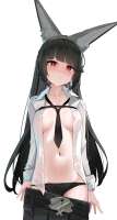 2658x4961