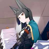 736x736