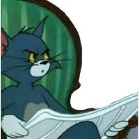 320x320