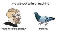 600x323