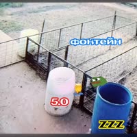 540x540