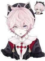 736x981