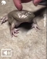 360x450