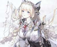 516x428