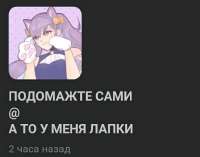 610x481