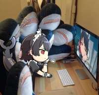 2048x1966