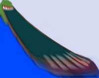200x159