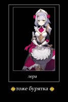 480x720