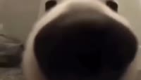 702x402