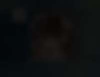 251x195