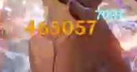 430x228