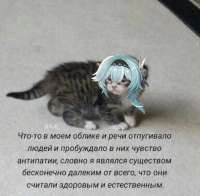 1080x1061