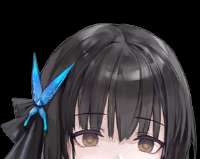 304x243
