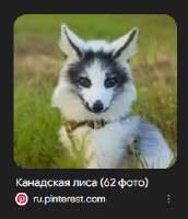 235x273
