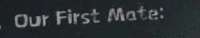 299x57