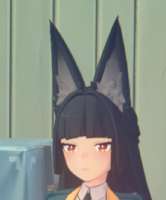 441x531