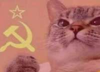 493x356