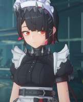 507x624