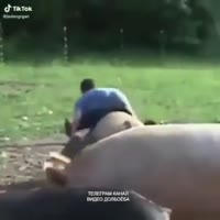 360x360