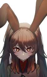 2364x3886