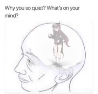 602x576