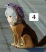 529x593