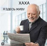530x519
