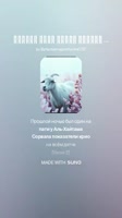 412x732
