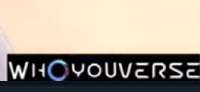 336x156