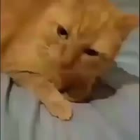 360x360