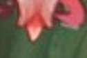 126x84